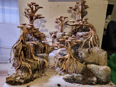 Layout Rừng Bonsai LY06